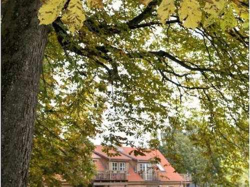Ferienhaus - 4 Personen -  - 23758 - Friederikenhof