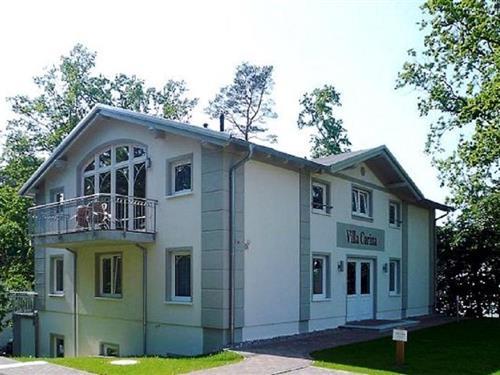 Ferieleilighet - 4 personer -  - Brautsteg - 18586 - Baabe Ostseebad