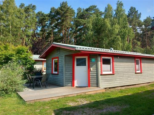 Holiday home - 8 persons -  - Försterei - 17449 - Trassenheide