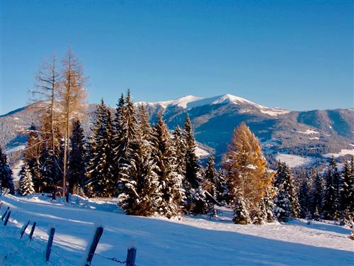 Feriehus - 5 personer -  - Fichtenallee - 9542 - Afritz