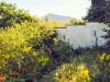 Bild 33 - Aussen