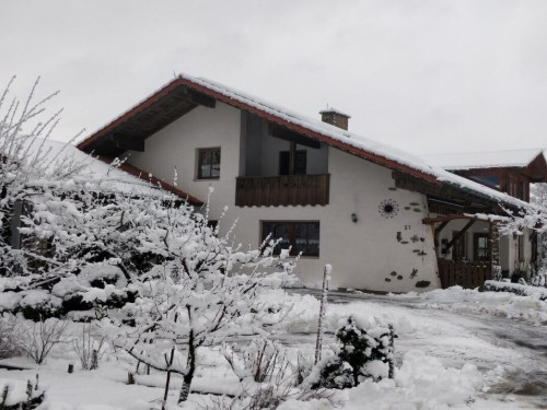 Holiday home - 4 persons -  - 94209 - Regen