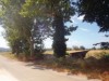 Bild 22