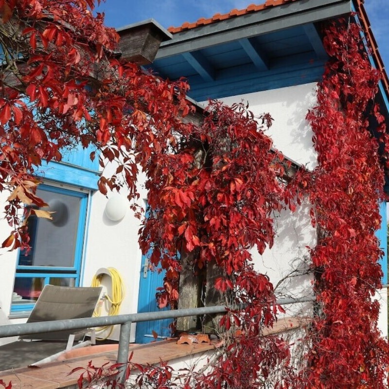 Sommerhus - 5 personer -  - 82065 - Baierbrunn