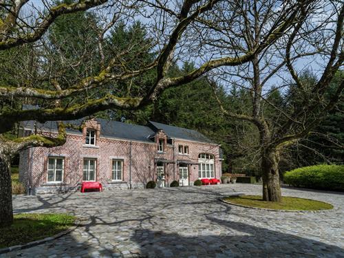 Sommerhus - 18 personer -  - 5575 - Gedinne