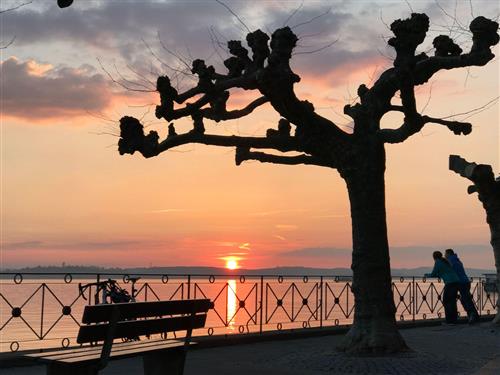  - 4 personer -  - Seepromenade - 88709 - Meersburg