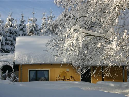 Feriehus - 2 personer -  - 09474 - Walthersdorf