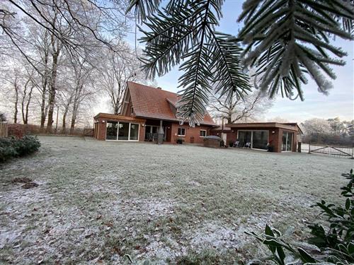 Holiday home - 11 persons -  - Moorlage - 48488 - Emsbüren