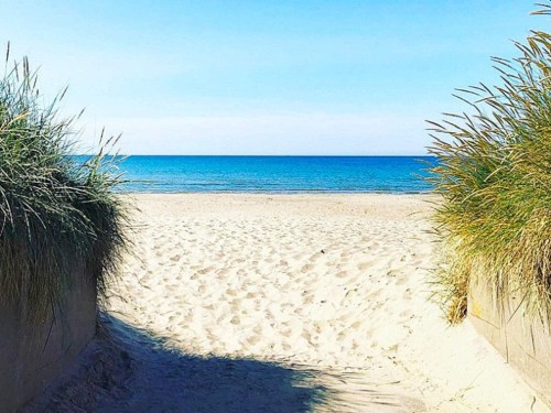  - 6 persons -  - Rundan - 31271 - Skummeslövsstrand