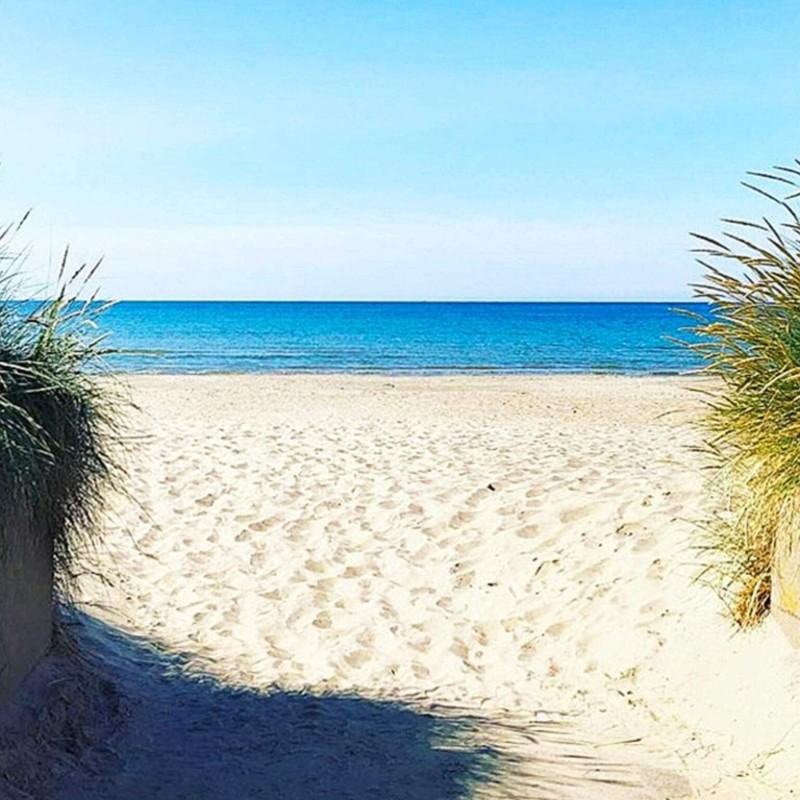  - 6 personer -  - Rundan - 31271 - Skummeslövsstrand