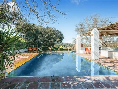 Sommerhus - 10 personer -  - C. Carrera - 06130 - Valverde De Leganés