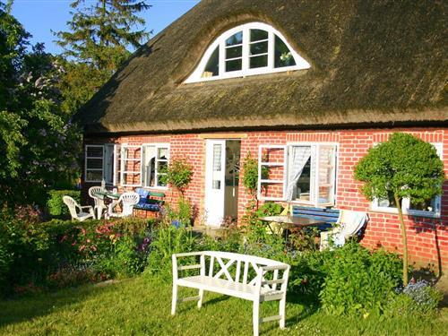 Ferieleilighet - 4 personer -  - Kastanienallee - 18551 - Lohme Ot Nardevitz