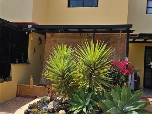 Sommerhus - 2 personer -  - Costa Calma - 35627