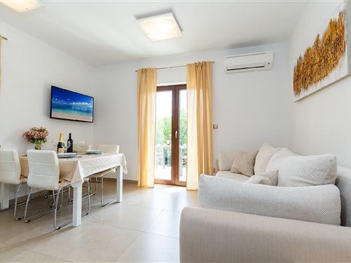 Holiday Home/Apartment - 4 persons -  - St Padovan - 52440 - Porec