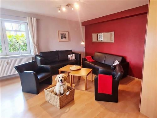 Ferieleilighet - 6 personer -  - Am Waldrand - 18211 - Nienhagen