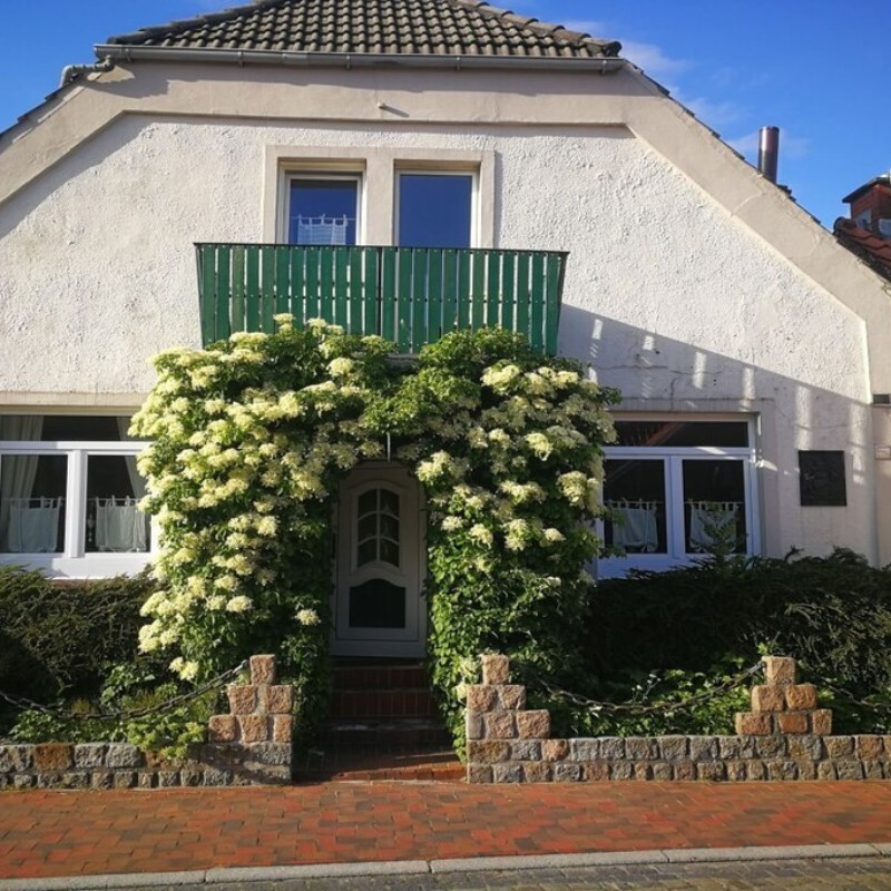 Sommerhus - 2 personer -  - 26844 - Ditzum