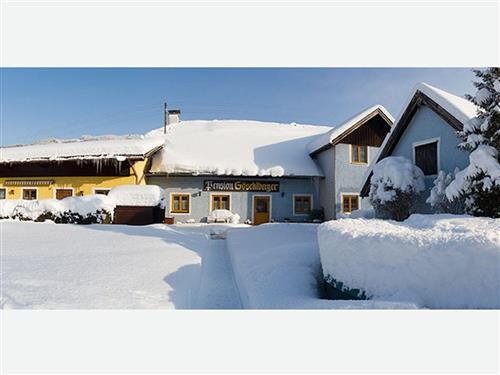 Ferieleilighet - 1 person -  - Rainerstraße - 5310 - Mondsee