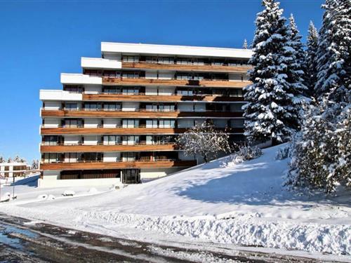 Holiday Home/Apartment - 6 persons -  - 38410 - Chamrousse