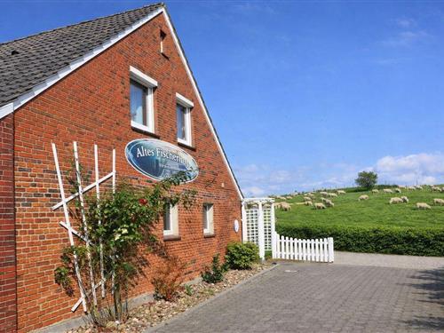 Ferienwohnung - 2 Personen -  - Deichstraße - 26434 - Schillig