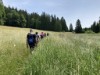 Bilde 16 - Ude