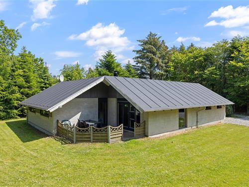 Sommerhus - 6 personer -  - Risbjergvej - Lodbjerg Hede - 6950 - Ringkøbing