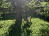 Bilde 6
