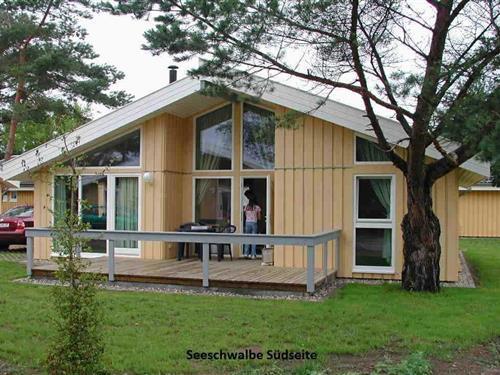 Sommerhus - 4 personer -  - Walter-Gotsmann-Straße - 17252 - Mirow