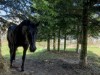 Billede 29 - Grund