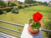 Bild 17
