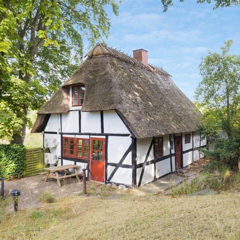 Ferienhaus - 6 Personen -  - Pederstrupvej - Spodsbjerg - 5900 - Rudköbing