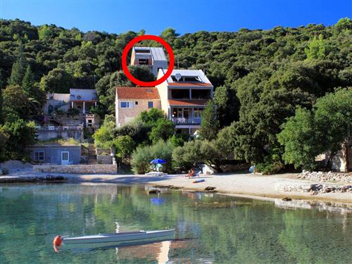 Ferielejlighed - 2 personer -  - Vrbovica 1001, Vrbovica - 20275 - Zrnovo