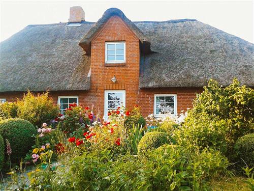 Ferienwohnung - 5 Personen -  - Grüner Deich - 25849 - Pellworm