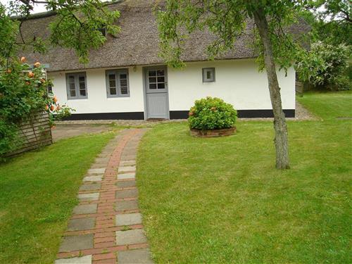 Feriehus / leilighet - 4 personer -  - Westmarken - 25826 - St. Peter-Ording