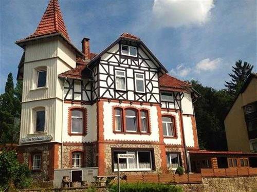 Ferienhaus - 24 Personen -  - Pfaffenberg - 37441 - Bad Sachsa