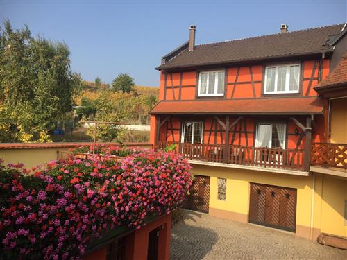 Holiday Home/Apartment - 7 persons -  - 17 ROUTE ROMAINE - 67140 - Itterswiller