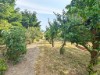 Image 2 - Outside