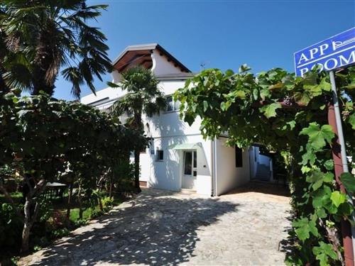 Semesterlägenhet - 4 personer -  - Novigrad (Istra) - 52466