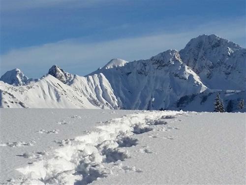 Holiday apartment - 4 persons -  - Faschina - 6733 - Fontanella/Faschina / Fas