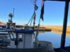 Billede 28