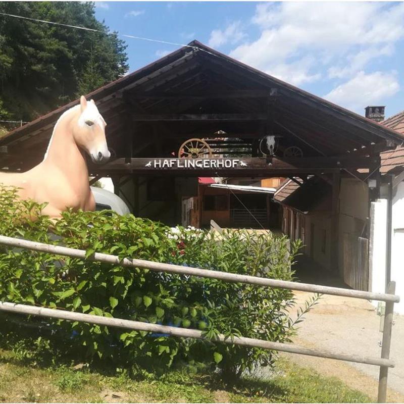 Ferielejlighed - 4 personer -  - Leitenviertel - 2853 - Bad Schönau