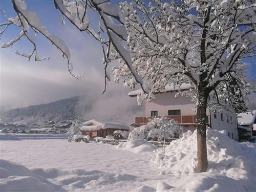 Semesterhus/Semesterlägenhet - 3 personer -  - Unterberggasse - 5542 - Flachau