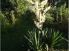 Billede 8