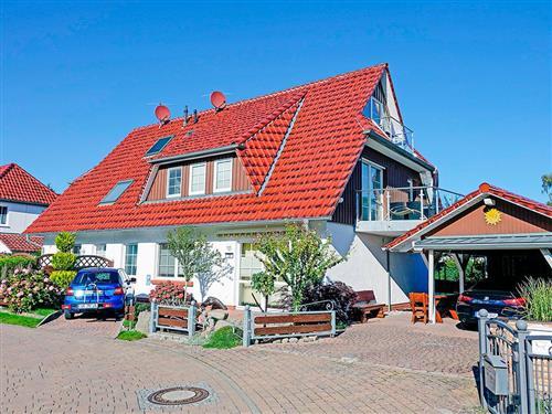 Ferienhaus - 5 Personen -  - Kavelweg - 18374 - Zingst