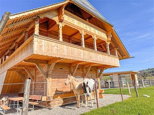 Ferienhaus - 12 Personen -  - Adelboden - 3452 - Lützelflüh