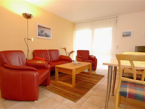 Ferieleilighet - 4 personer -  - Darßer Weg - 18374 - Zingst (Ostseeheilbad)