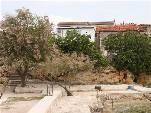 Ferielejlighed - 5 personer -  - Sv. Petar na Moru 234, Sveti Petar na Moru - 23207 - Sveti Filip I Jakov