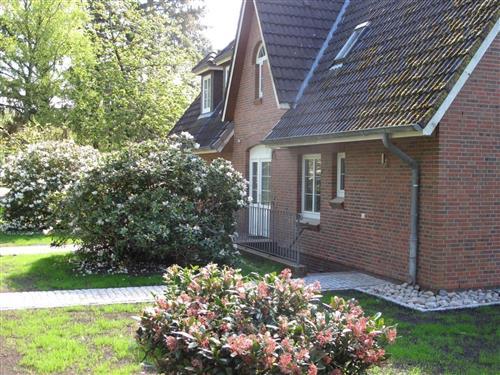 Holiday Home/Apartment - 4 persons -  - Tanenwai - 25946 - Nebel