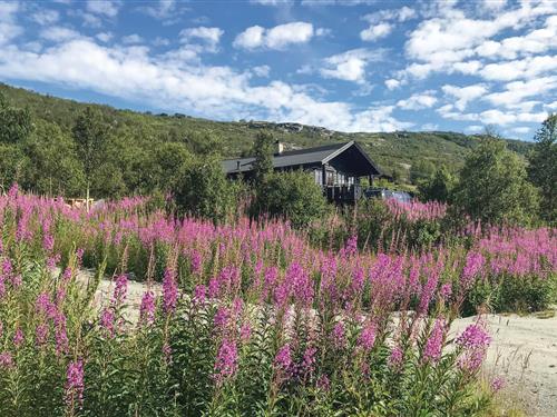 Semesterhus/Semesterlägenhet - 7 personer -  - Vestre Maursetlia - Vøringsfoss/Maurseth - 5785 - Vøringsfoss