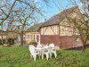 Bild 24