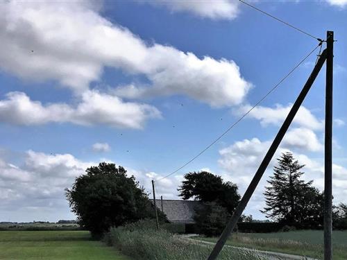 Feriehus - 7 personer -  - 26553 - Dornum Westdorf